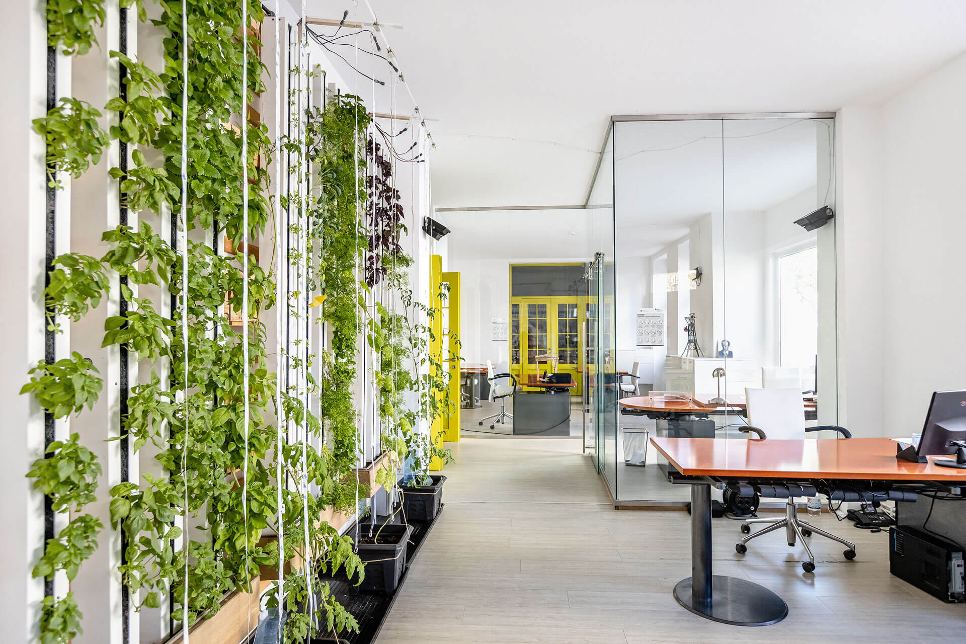 Coworking-Berlin-Charlottenburg-hydroponik-im-buero